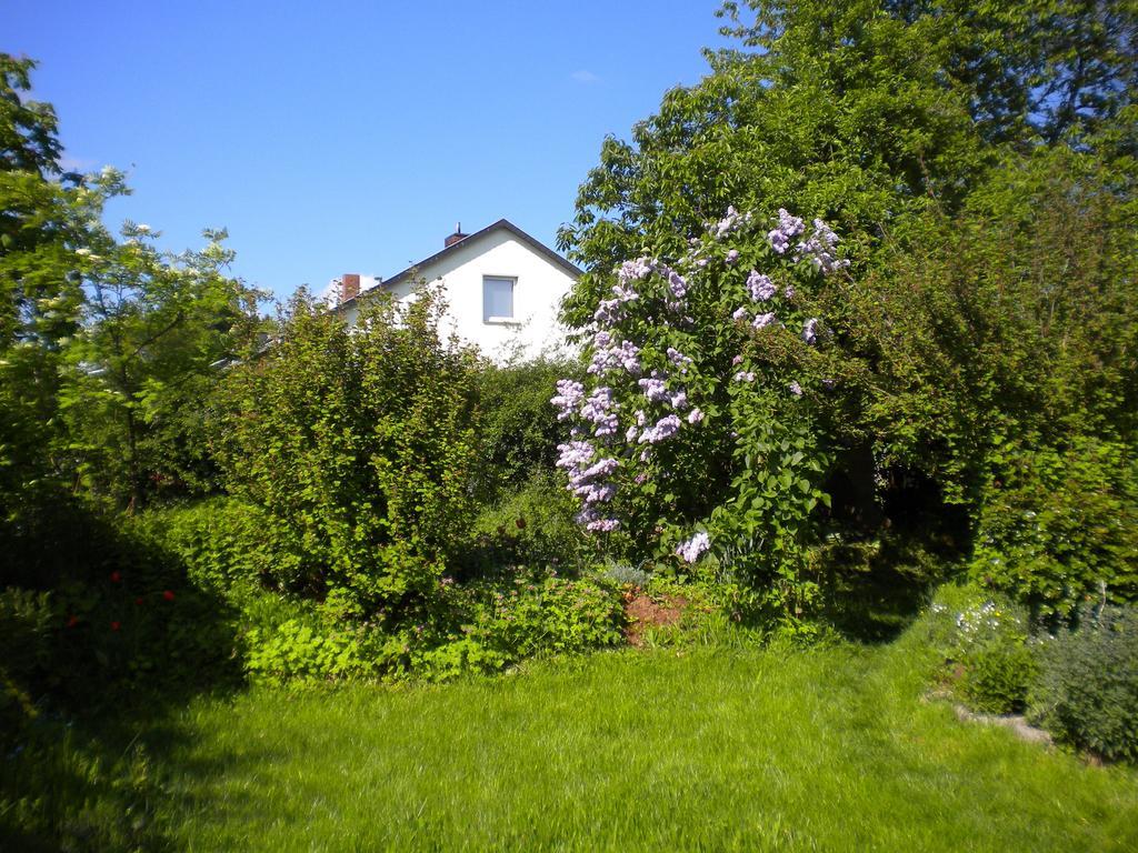 Ferienwohnung "Eifelstueffje" Mechernich Exterior photo